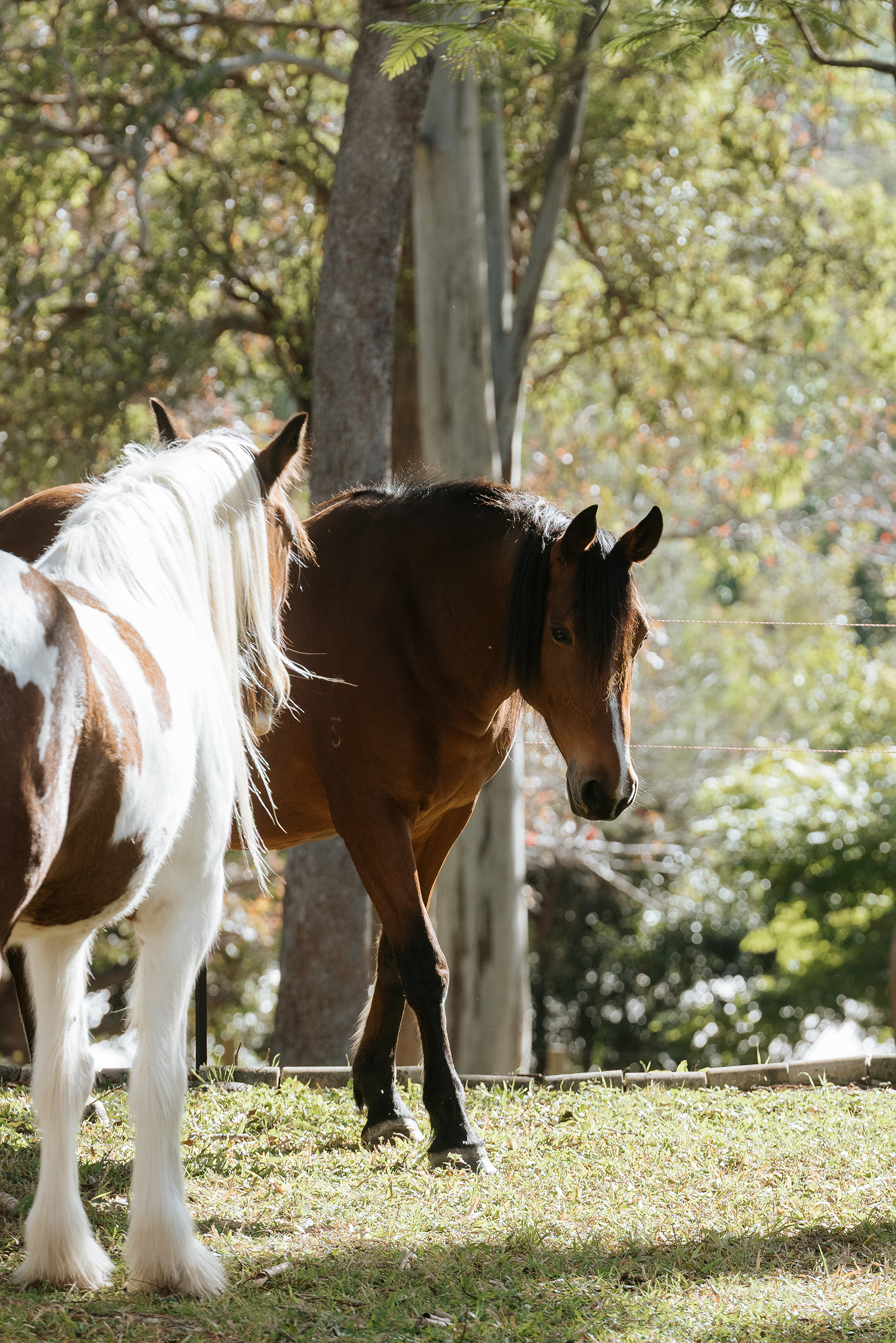 Equiman-Leadership-Applied-Emotional-Intelligence96