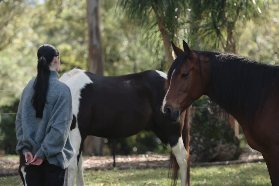 Equiman-Leadership-Emotional-Intelligence-232