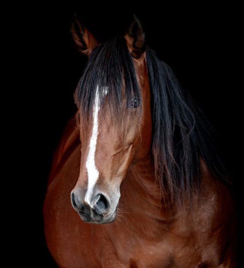 wesrdt56y7u89i-scaled